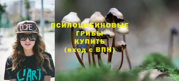 хмурый Ветлуга