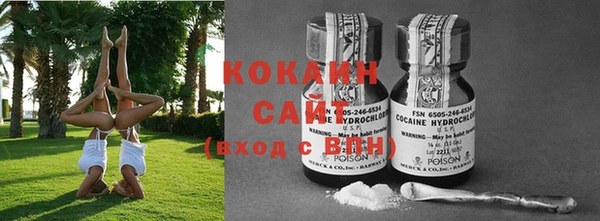 крисы Абаза