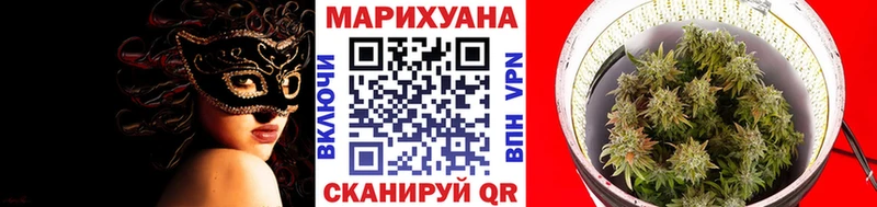 купить наркотики цена  Емва  Конопля гибрид 